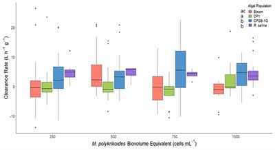 Effects of the harmful alga Margalefidinium (aka Cochlodinium) polykrikoides on clearance rates of the hard clam, Mercenaria mercenaria